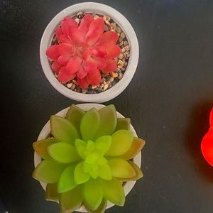 🪴FREE ITEM WITH PURCHASE: Fake succulents